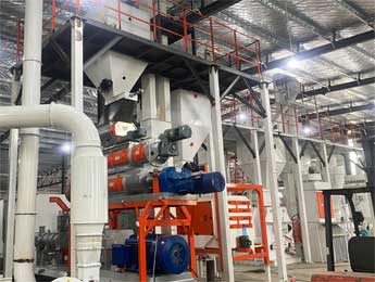 平鋪式膨化飼料生產(chǎn)線